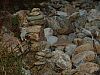 DSC05831.jpg